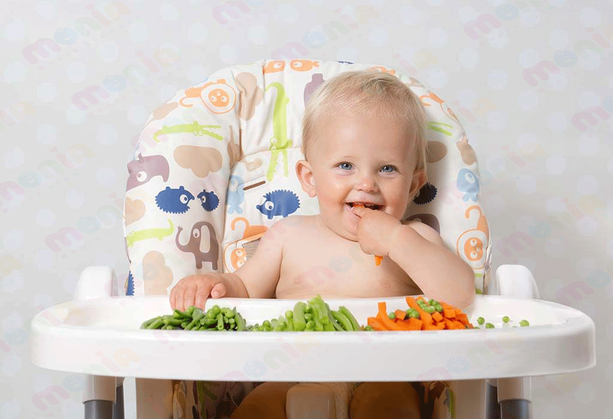 مرکز فروش صندلی غذای کودک ارزان